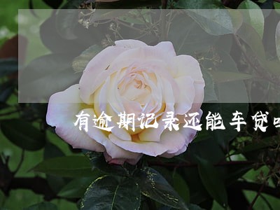 有逾期记录还能车贷吗 有逾期记录还能车贷吗
