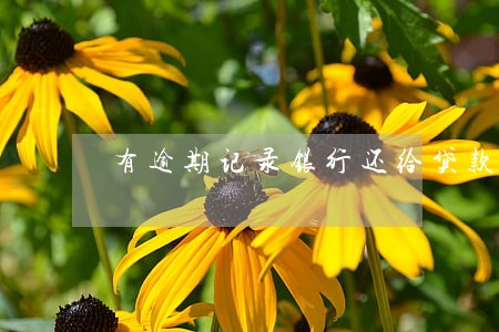 有逾期记录银行还给贷款吗 有逾期记录银行还给贷款吗
