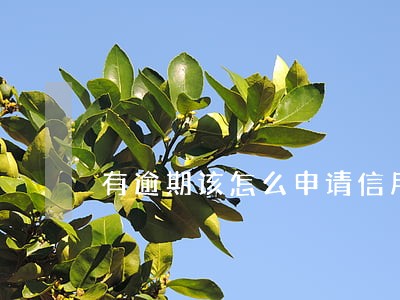 有逾期该怎么申请信用卡 有逾期该怎么申请信用卡