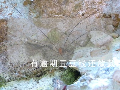 有逾期豆豆钱还放款吗 有逾期豆豆钱还放款吗