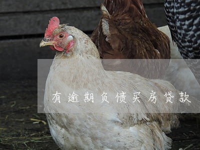 有逾期负债买房贷款 有逾期负债买房贷款