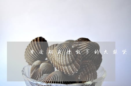 有逾期负债能下的大额贷款 有逾期负债能下的大额贷款