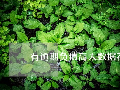 有逾期负债高大数据花 有逾期负债高大数据花