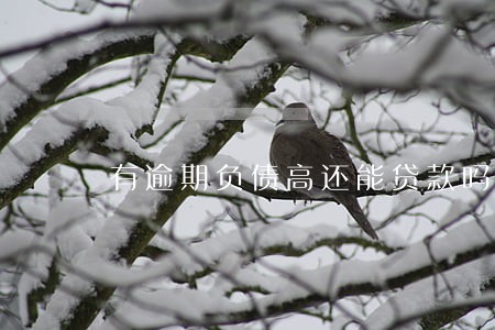 有逾期负债高还能贷款吗