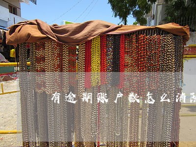 有逾期账户数怎么消除