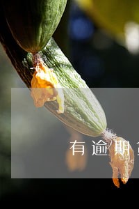有逾期货款买车可以买 有逾期货款买车可以买