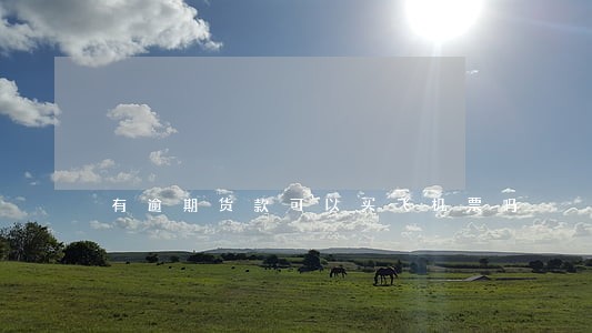有逾期货款可以买飞机票吗 有逾期货款可以买飞机票吗