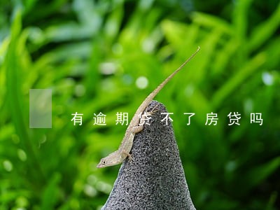 有逾期贷不了房贷吗 有逾期贷不了房贷吗