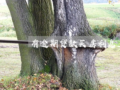 有逾期贷款买房利息上浮多岁 有逾期贷款买房利息上浮多岁