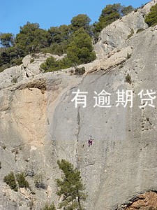 有逾期贷款买车能过不 有逾期贷款买车能过不