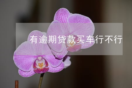 有逾期贷款买车行不行 有逾期贷款买车行不行