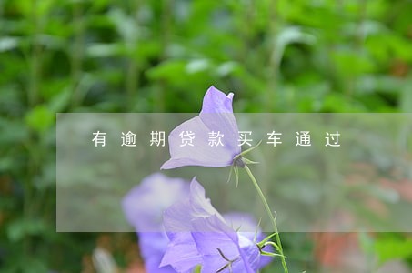 有逾期贷款买车通过 有逾期贷款买车通过