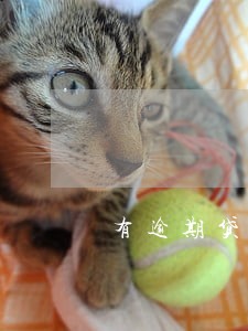 有逾期贷款会上浮多少利率 有逾期贷款会上浮多少利率