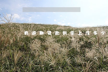 有逾期贷款利率上浮多少钱 有逾期贷款利率上浮多少钱