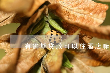 有逾期贷款可以住酒店嘛 有逾期贷款可以住酒店嘛