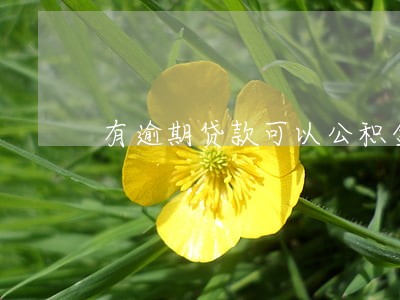 有逾期贷款可以公积金贷款吗 有逾期贷款可以公积金贷款吗