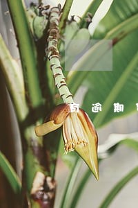 有逾期贷款比较容易怀孕 有逾期贷款比较容易怀孕