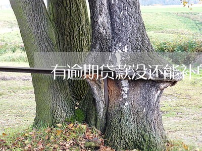 有逾期贷款没还能补身份证吗 有逾期贷款没还能补身份证吗