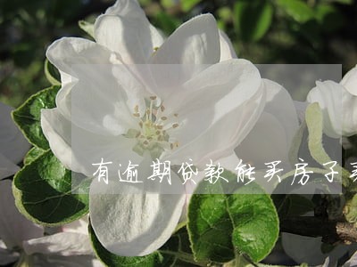 有逾期贷款能买房子买 有逾期贷款能买房子买