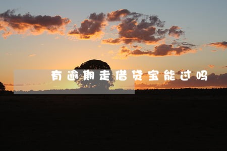 有逾期走借贷宝能过吗