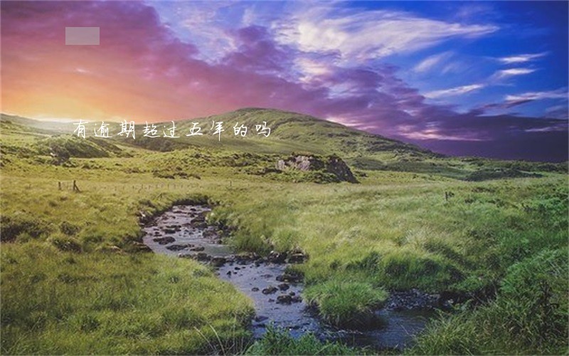 有逾期超过五年的吗 有逾期超过五年的吗