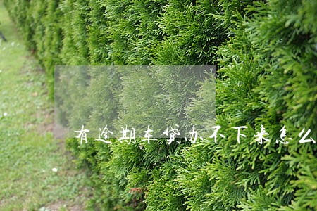 有逾期车贷办不下来怎么办 有逾期车贷办不下来怎么办