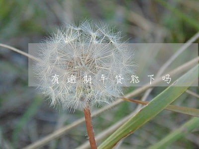 有逾期车贷能下吗