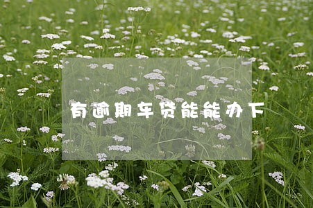 有逾期车贷能能办下 有逾期车贷能能办下