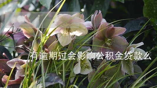 有逾期过会影响公积金贷款么