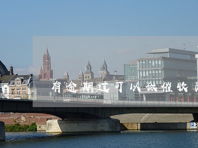 有逾期过可以做催收员吗 有逾期过可以做催收员吗