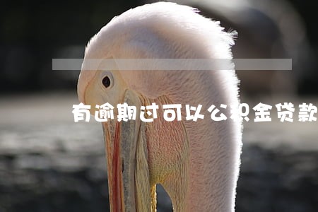 有逾期过可以公积金贷款么