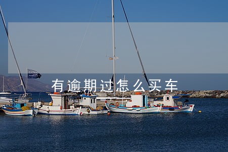 有逾期过怎么买车 有逾期过怎么买车