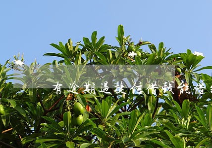 有逾期过捷信借钱能借到吗 有逾期过捷信借钱能借到吗