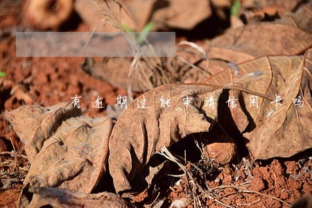 有逾期过能申请信用卡吗 有逾期过能申请信用卡吗