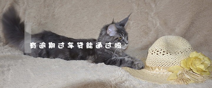 有逾期过车贷能通过吗 有逾期过车贷能通过吗