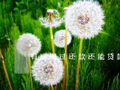 有逾期过还款还能贷款买房吗 有逾期过还款还能贷款买房吗
