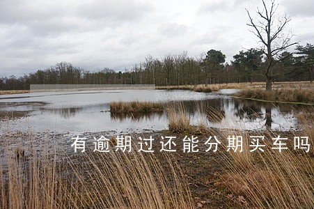有逾期过还能分期买车吗 有逾期过还能分期买车吗