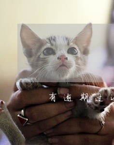 有逾期过还能大额贷款吗 有逾期过还能大额贷款吗