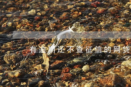 有逾期还不查征信的网贷平台 有逾期还不查征信的网贷平台