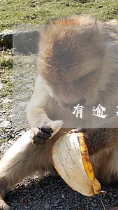 有逾期还了以后还能借的平台 有逾期还了以后还能借的平台