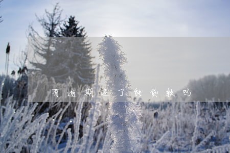 有逾期还了能贷款吗 有逾期还了能贷款吗