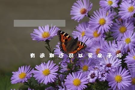 有逾期还可以买房子吗 有逾期还可以买房子吗
