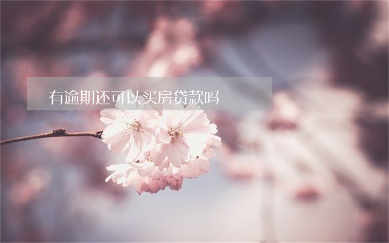 有逾期还可以买房贷款吗 有逾期还可以买房贷款吗