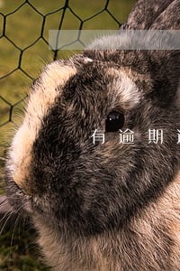 有逾期还可以买手机吗 有逾期还可以买手机吗