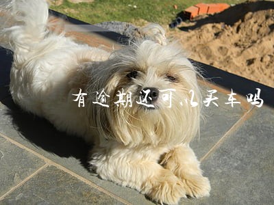 有逾期还可以买车吗 有逾期还可以买车吗