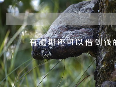 有逾期还可以借到钱的正规平台 有逾期还可以借到钱的正规平台