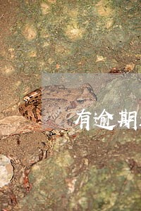有逾期还可以借款 有逾期还可以借款
