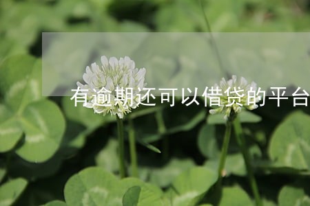 有逾期还可以借贷的平台 有逾期还可以借贷的平台
