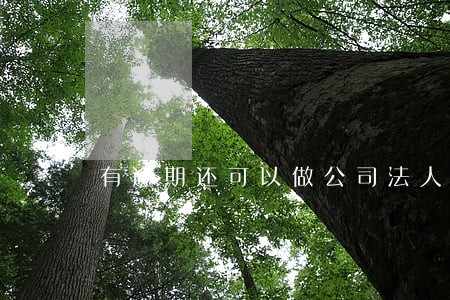 有逾期还可以做公司法人么 有逾期还可以做公司法人么