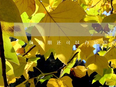有逾期还可以办房贷吗 有逾期还可以办房贷吗